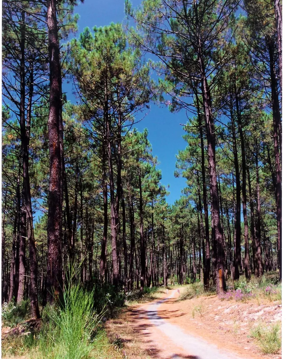 Résidence Cote Ocean