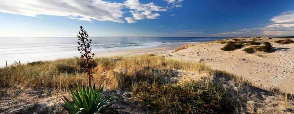 Résidence Cote Ocean