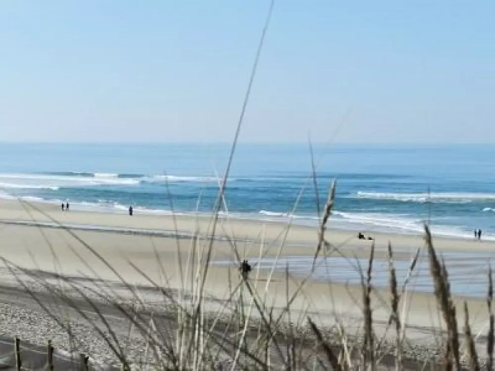 Résidence Les Palourdes