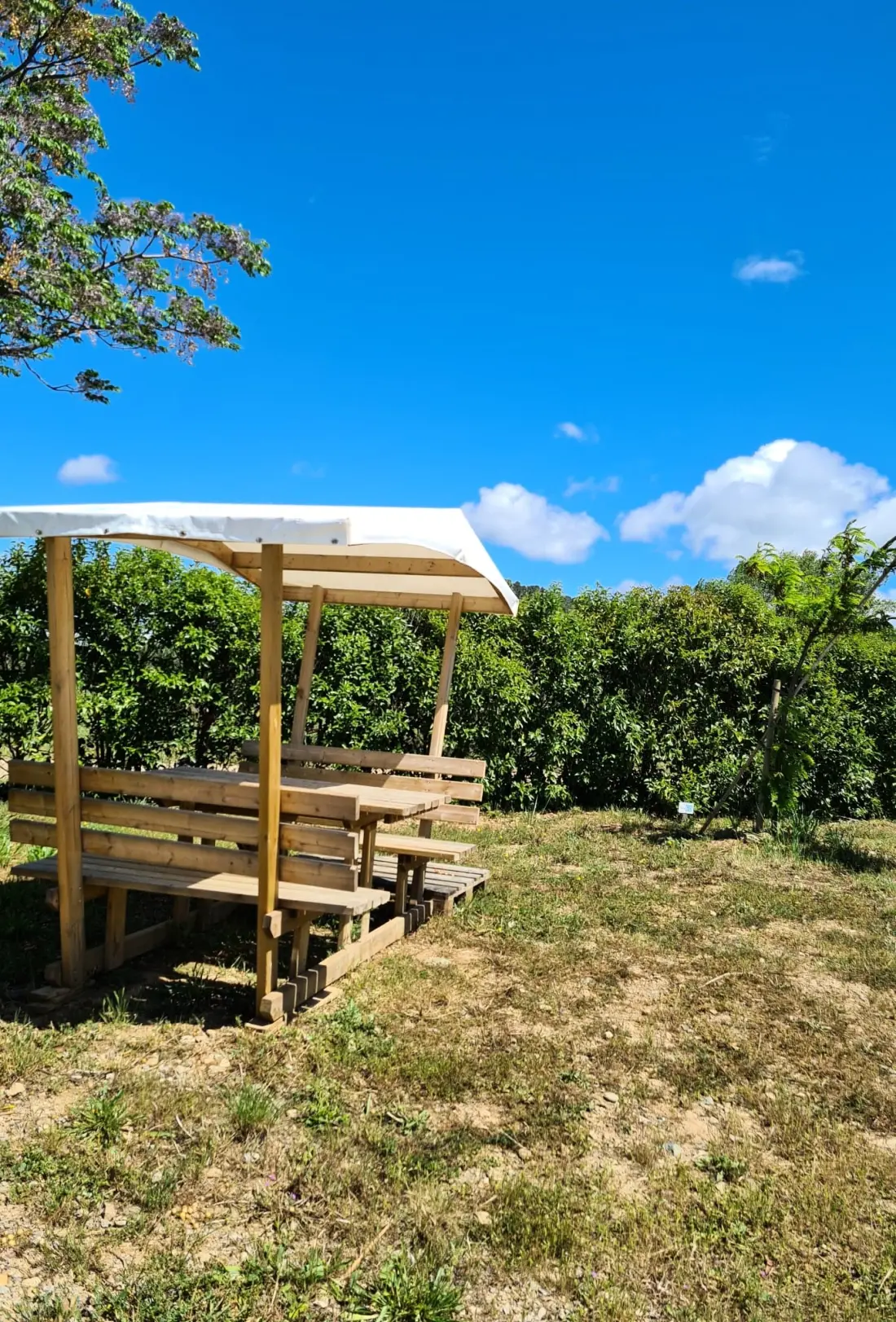 Flower Camping Olivigne 4 étoiles★★★★