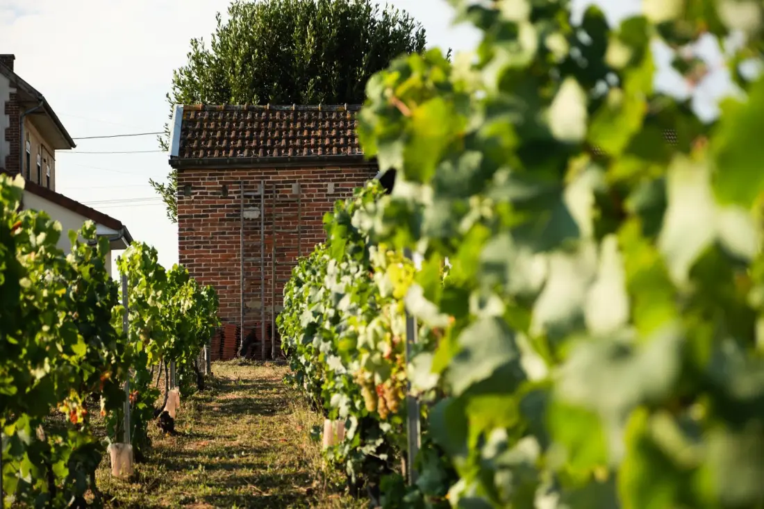 Gîte de France La maison du clos en champagne 4 épis