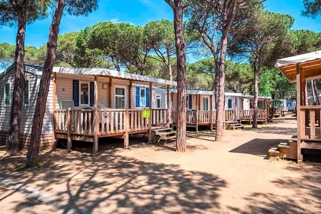Camping Bella Terra