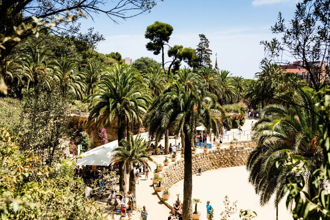 Camping Cavall de Mar