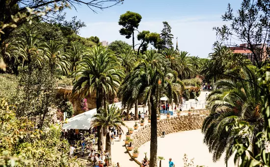 Camping Cavall de Mar