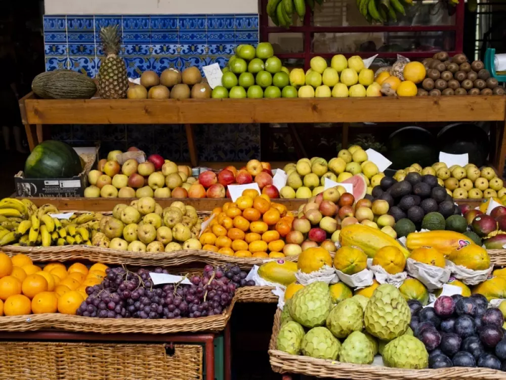 Camping La Masia2 étoiles★★