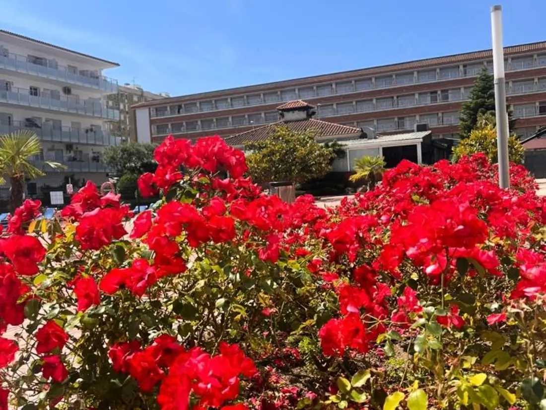 Location de Vacances Blanes 47