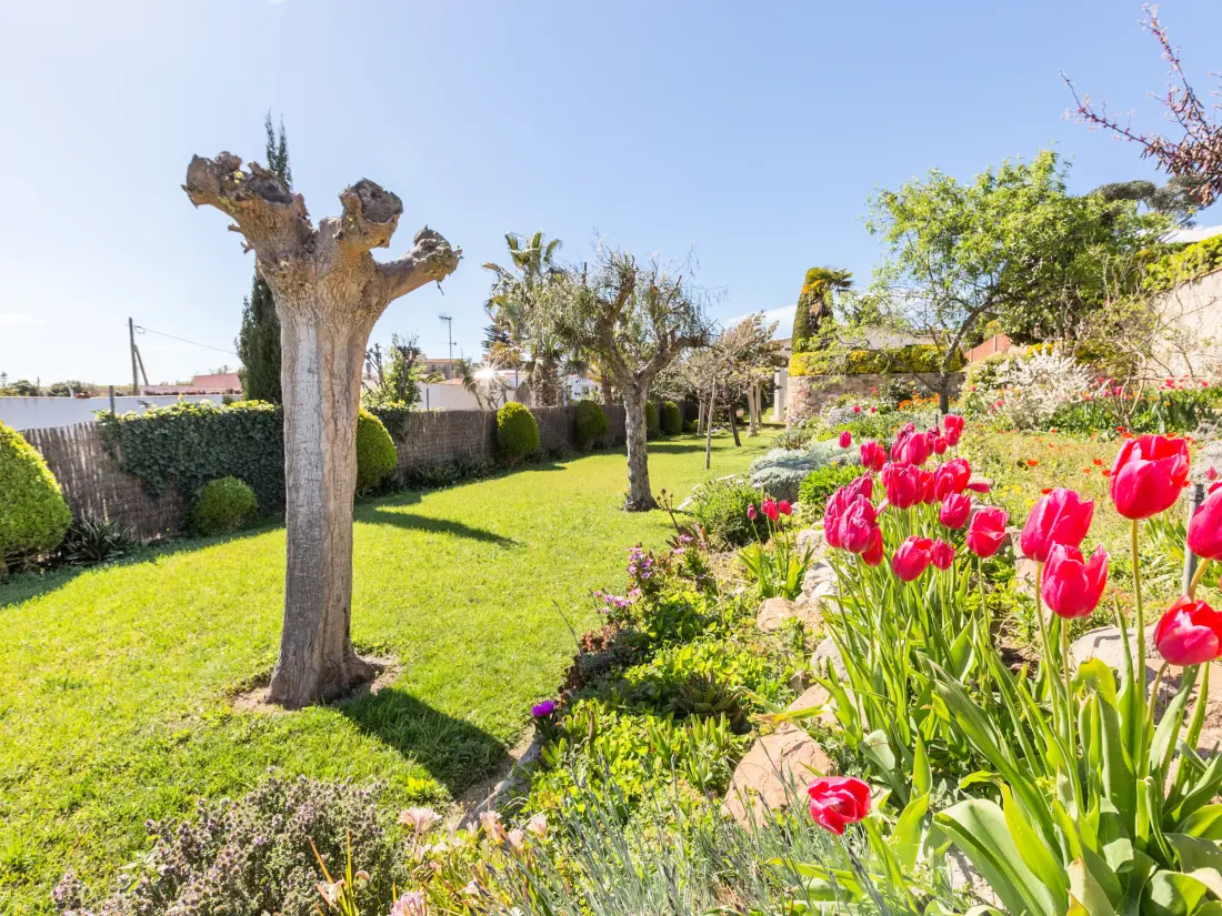 Maison de Vacances Blanes 100