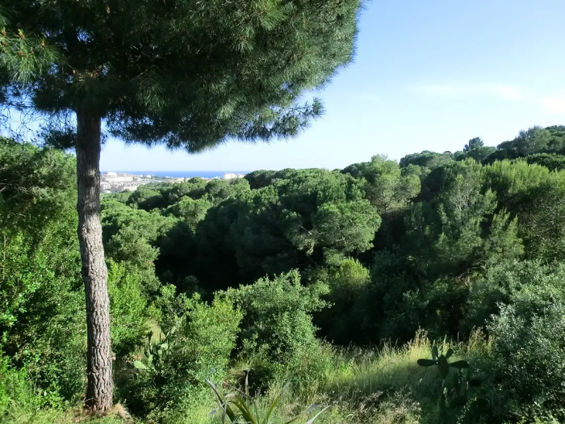 Villa Alba