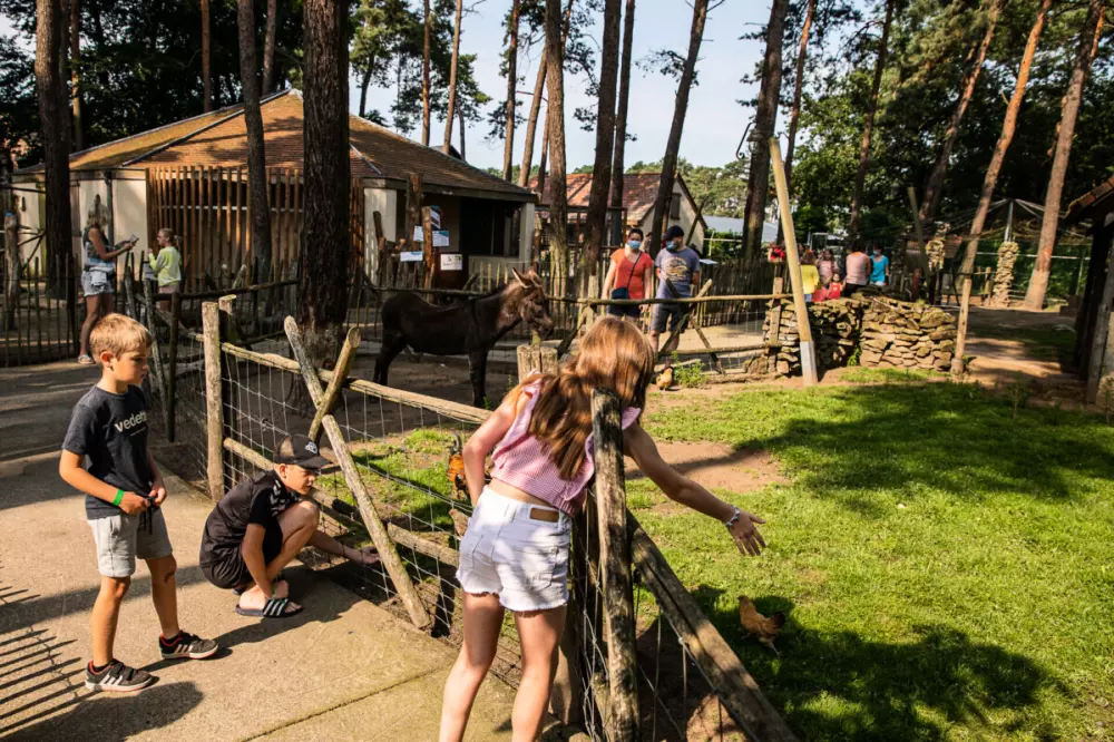 Familiepark Goolderheide 4 étoiles★★★★