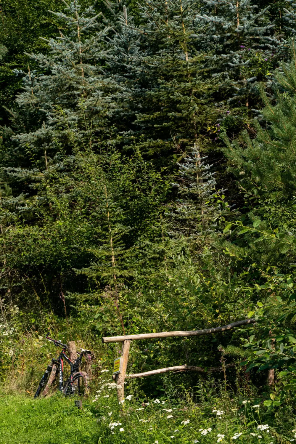 Camping Bockenauer Schweiz (Vodatent)