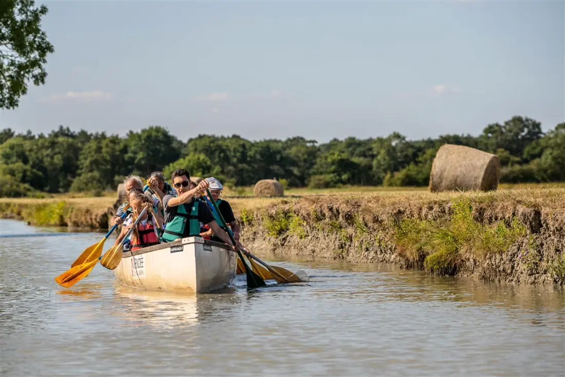 Camping maeva Escapades Le Bois Joli 4 étoiles★★★★