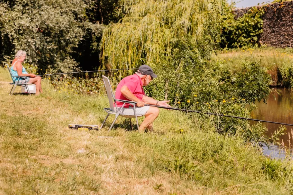 Camping maeva Escapades Le Bois Joli 4 étoiles★★★★