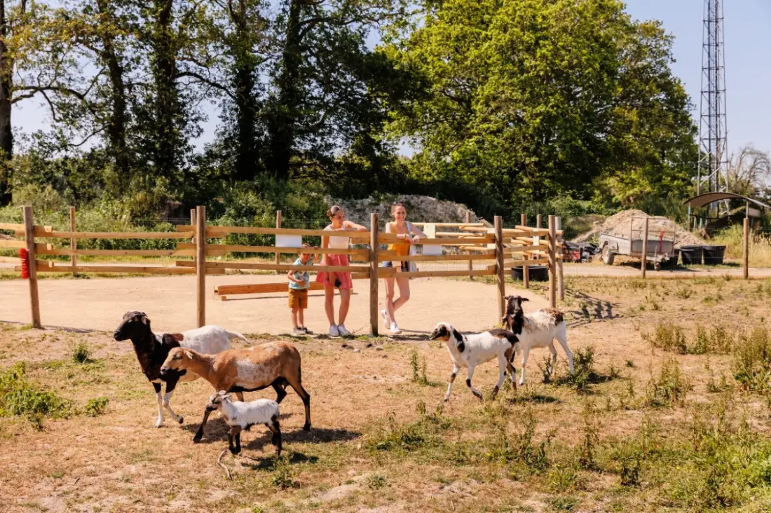 Camping maeva Escapades Le Bois Joli 4 étoiles★★★★