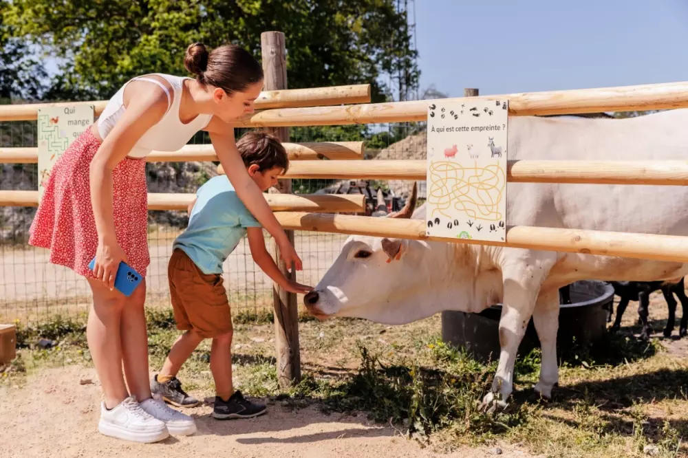 Camping maeva Escapades Le Bois Joli 4 étoiles★★★★