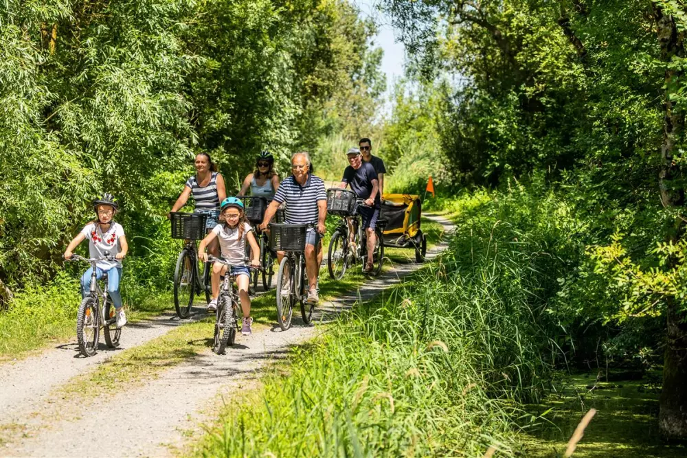 Camping maeva Escapades Le Bois Joli 4 étoiles★★★★