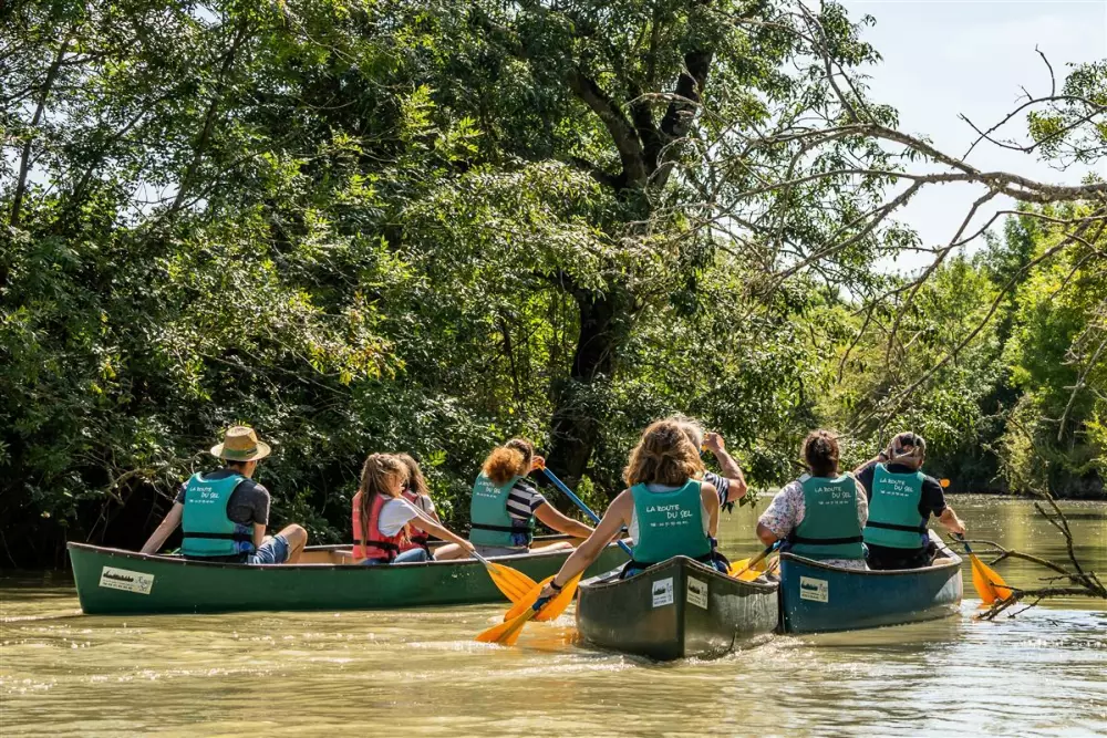 Camping maeva Escapades Le Bois Joli 4 étoiles★★★★