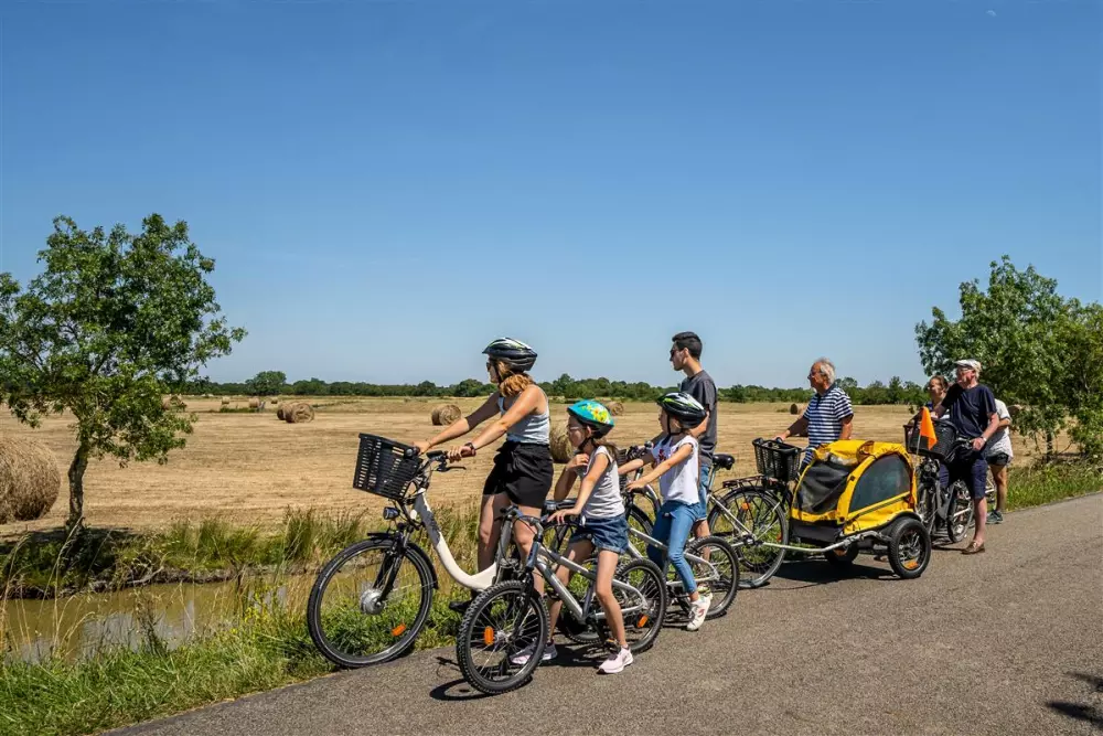 Camping maeva Escapades Le Bois Joli 4 étoiles★★★★