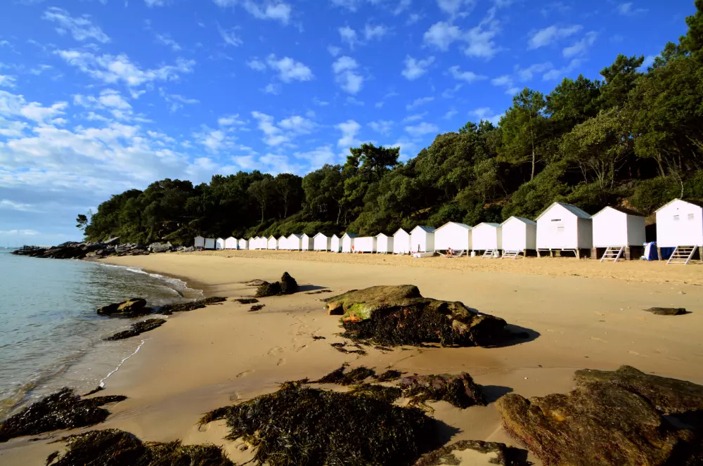 Camping maeva Escapades Le Bois Joli 4 étoiles★★★★