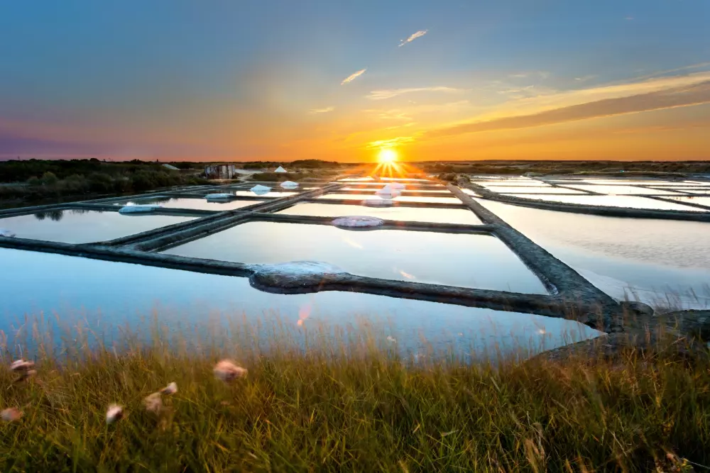 Camping maeva Escapades Le Bois Joli 4 étoiles★★★★