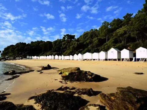 Camping Le Bois Joli 4 étoiles★★★★
