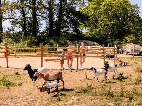 Camping Le Bois Joli 4 étoiles★★★★