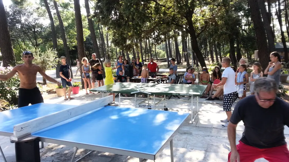 Camping La Simioune Vaucluse et Drome Provencale 3 étoiles★★★