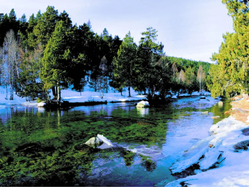Location de Vacances Bolquère-Pyrénées 2000 55
