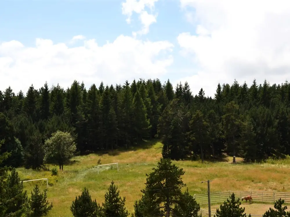 Location de Vacances Bolquère-Superbolquère
