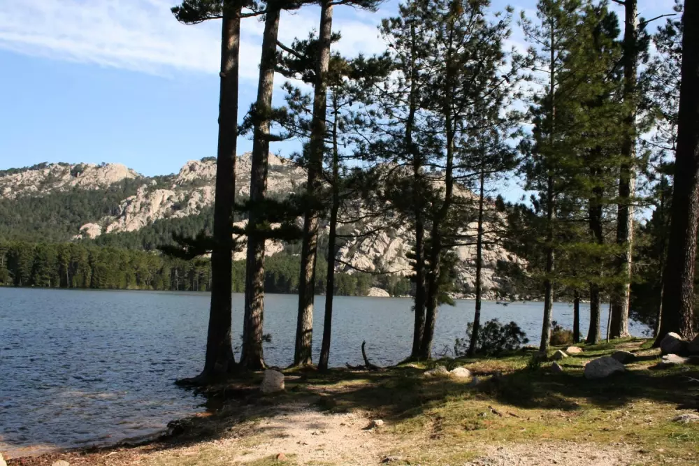 Camping Campo Di Liccia3 étoiles★★★