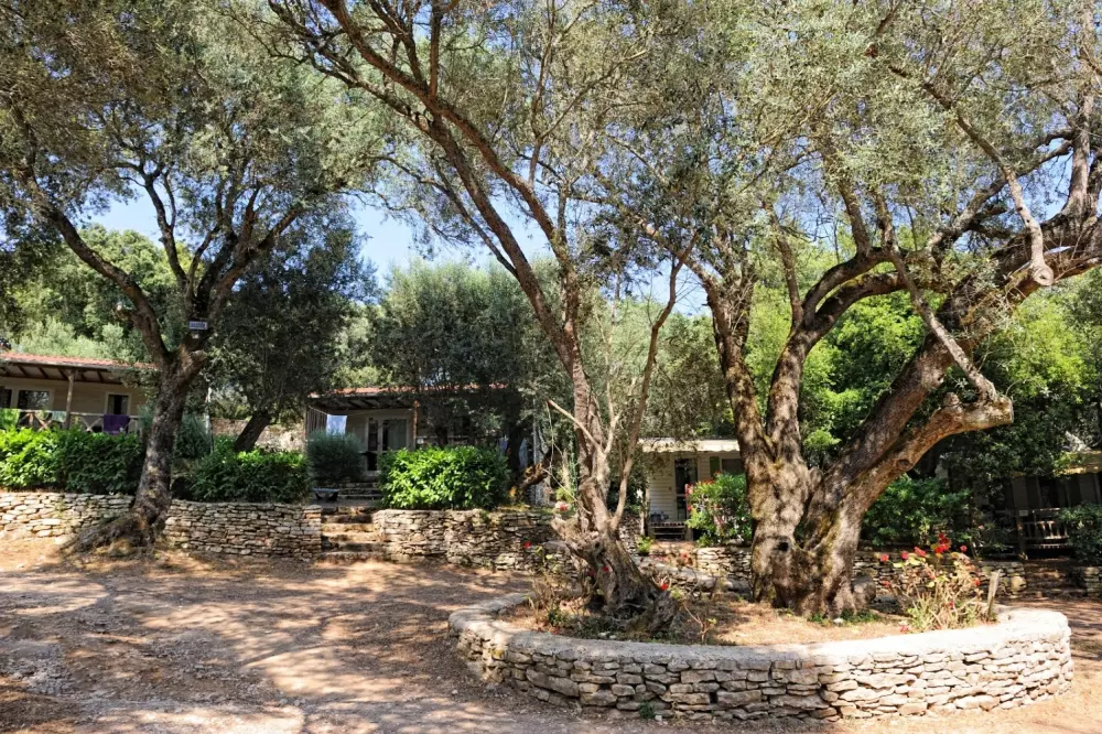 Camping Campo Di Liccia3 étoiles★★★