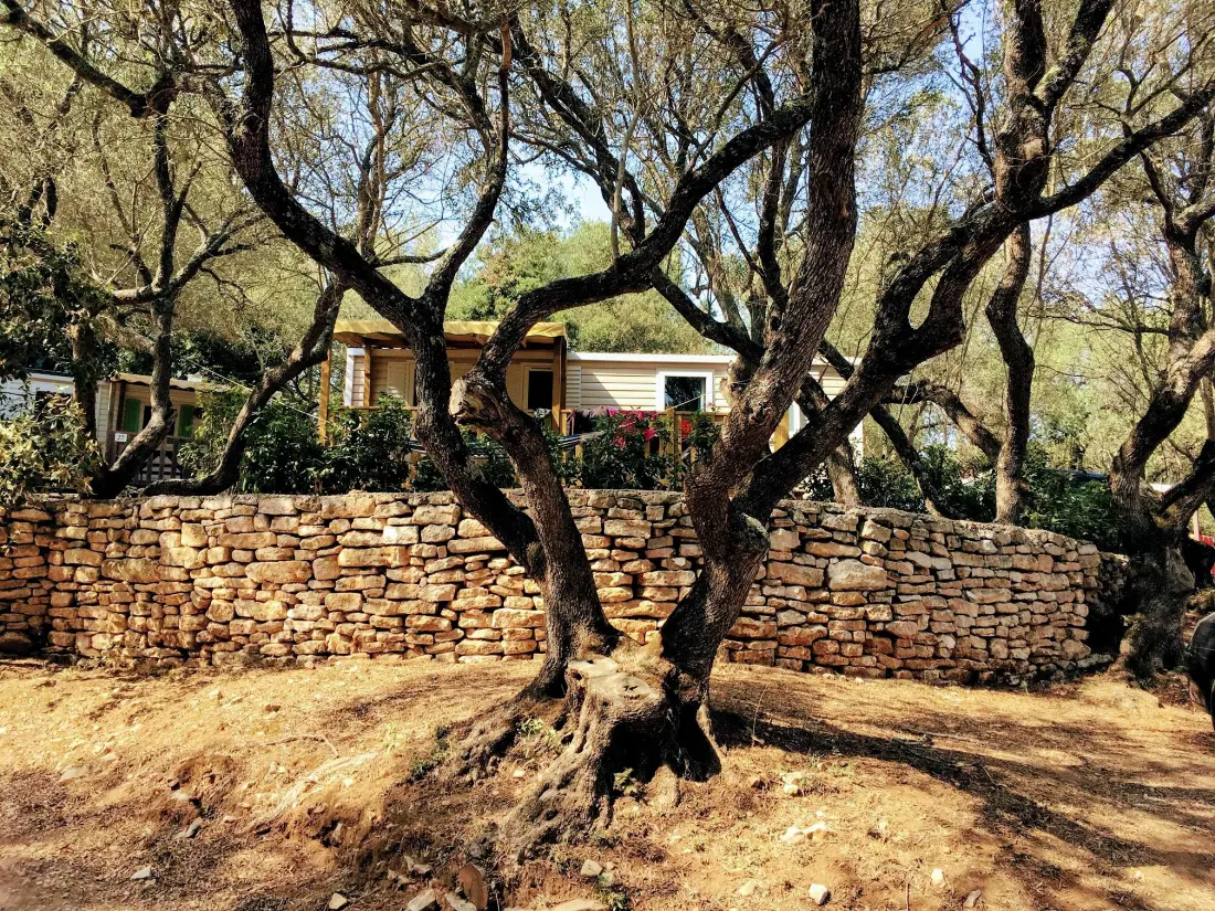 Camping Campo Di Liccia3 étoiles★★★