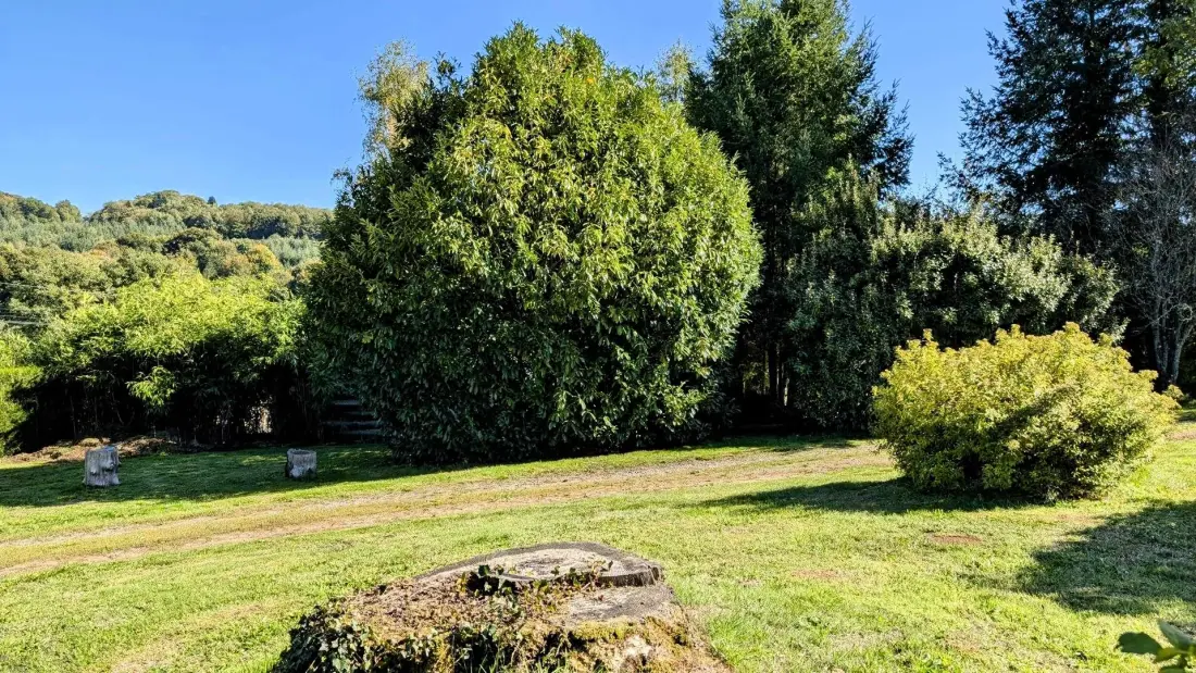 Gîte de France Maison du cèdre 2 épis