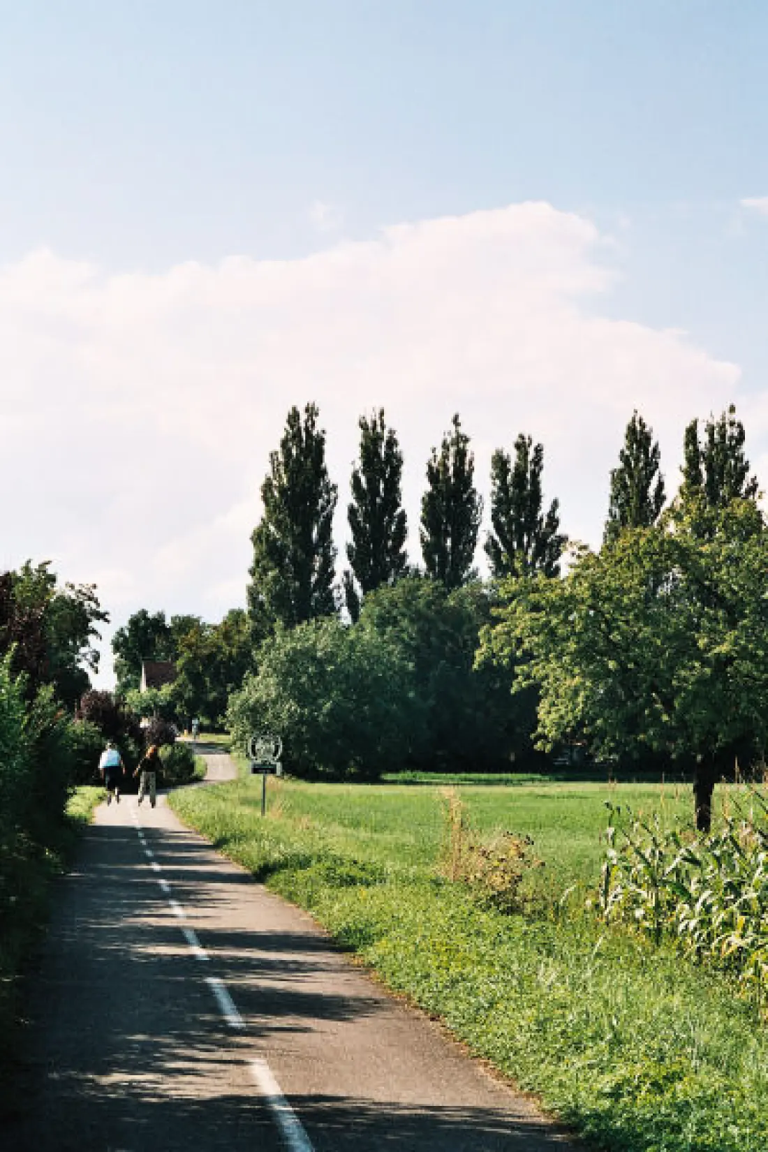 Camping Le Ried2 étoiles★★