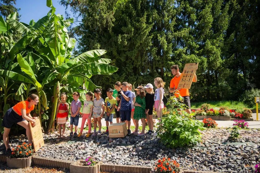 Camping Le Ried