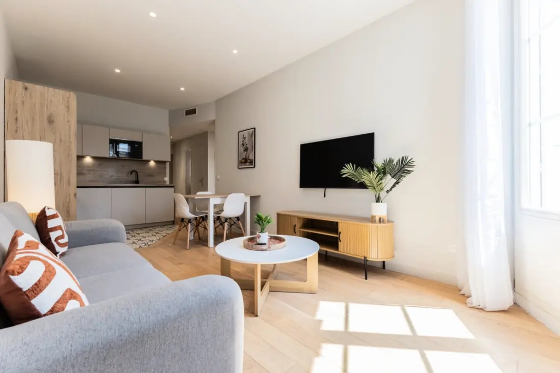 Appartement 1 Chambre Climatisation - Centre-ville