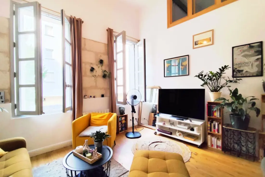 Appartement Lumineux Et Chaleureux à Bordeaux