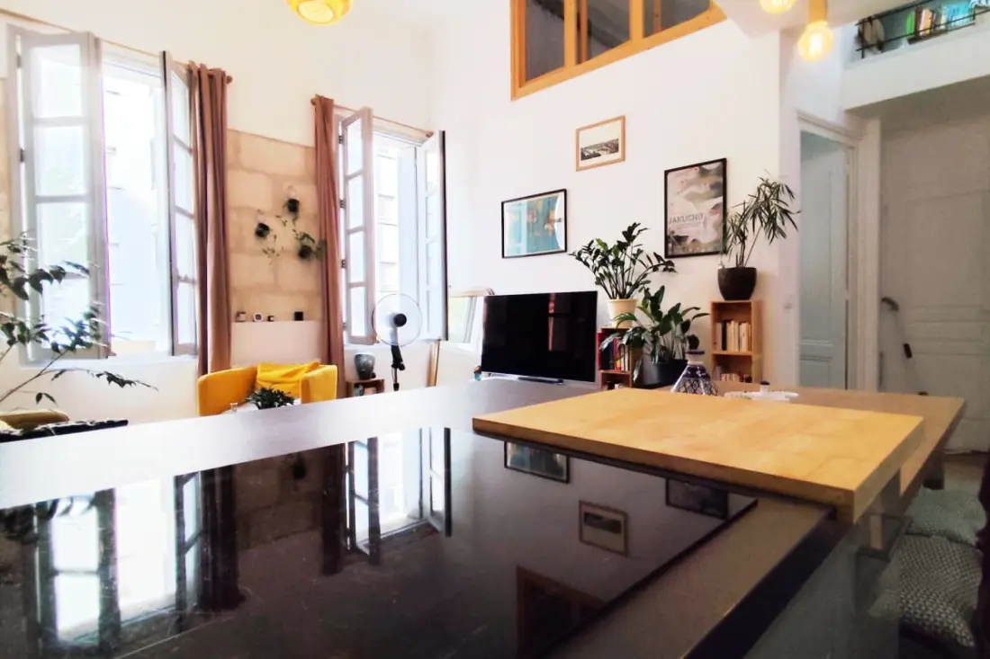 Appartement Lumineux Et Chaleureux à Bordeaux