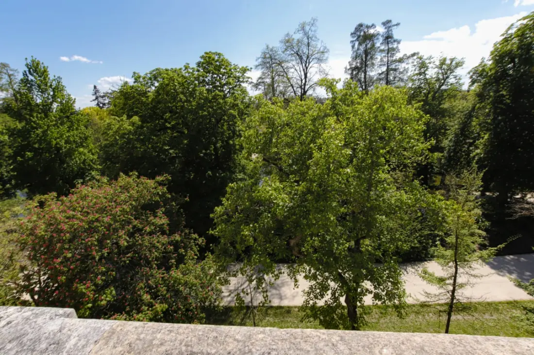 Maison Labruyère - Suite Cosy Jardin