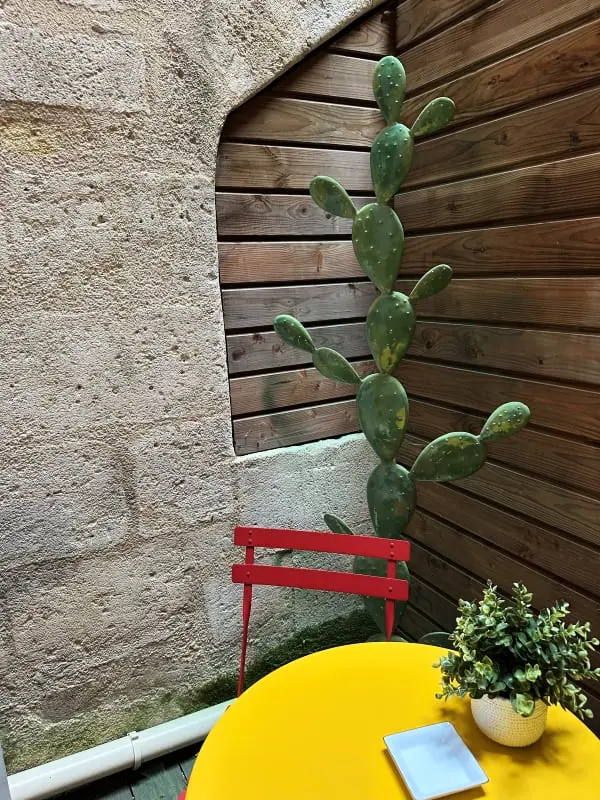 Superbe Appartement Bordelais Plein De Charme Et Lumineux Avec Terrasse