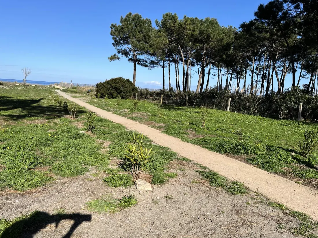 Résidence Sables De Biguglia