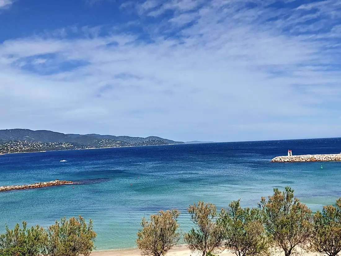 Location de Vacances Bormes-les-Mimosas 100
