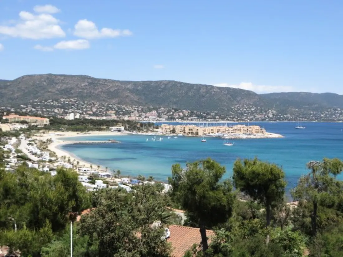Location de Vacances Bormes-les-Mimosas 100