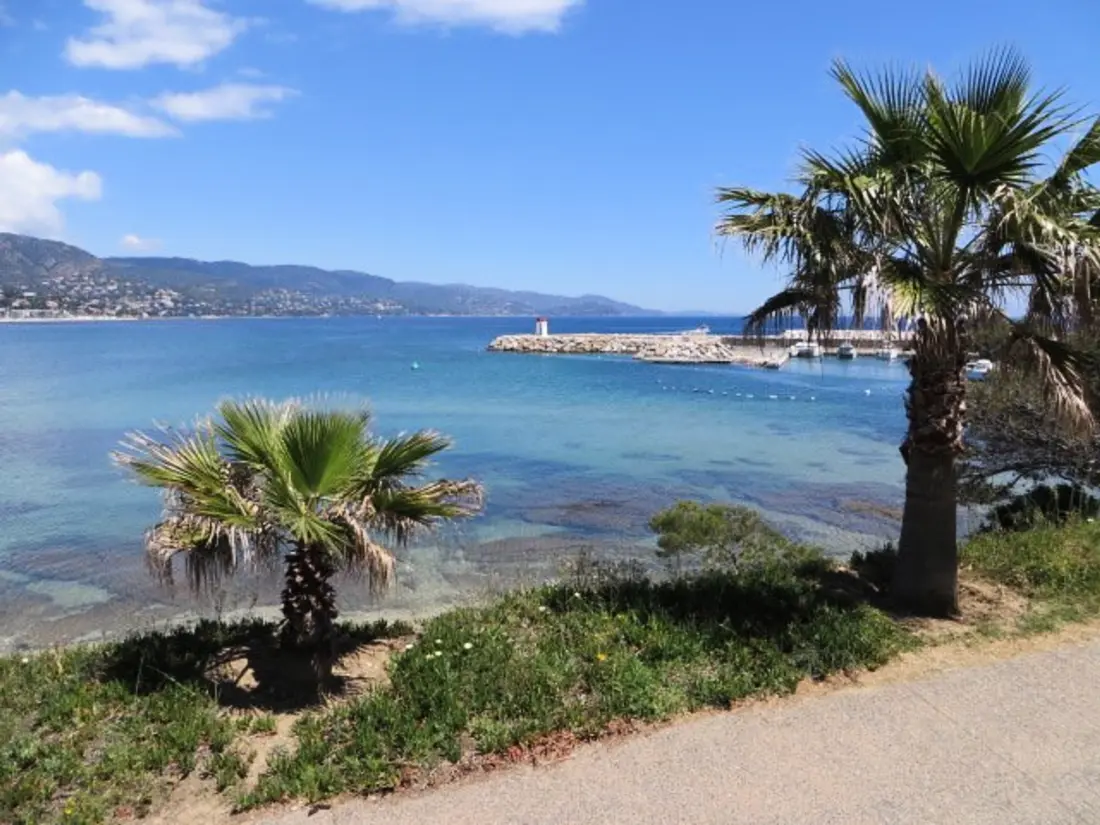 Location de Vacances Bormes-les-Mimosas 100