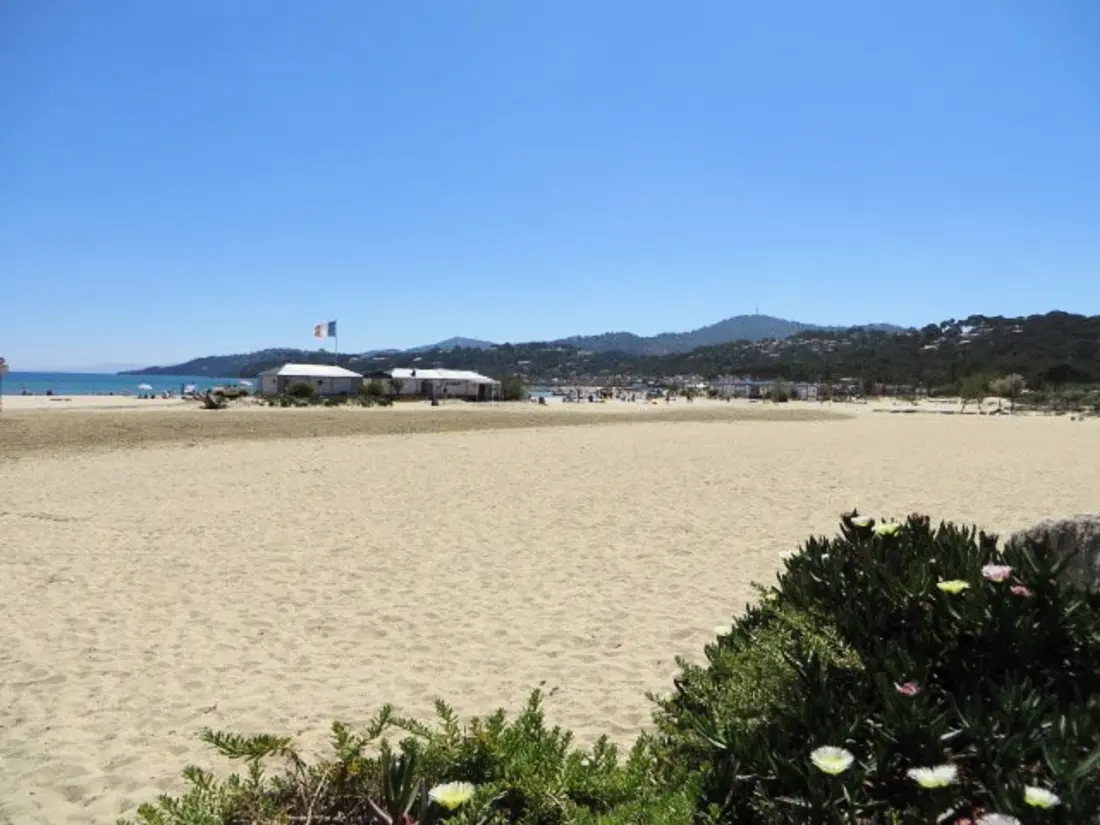 Location de Vacances Bormes-les-Mimosas 105