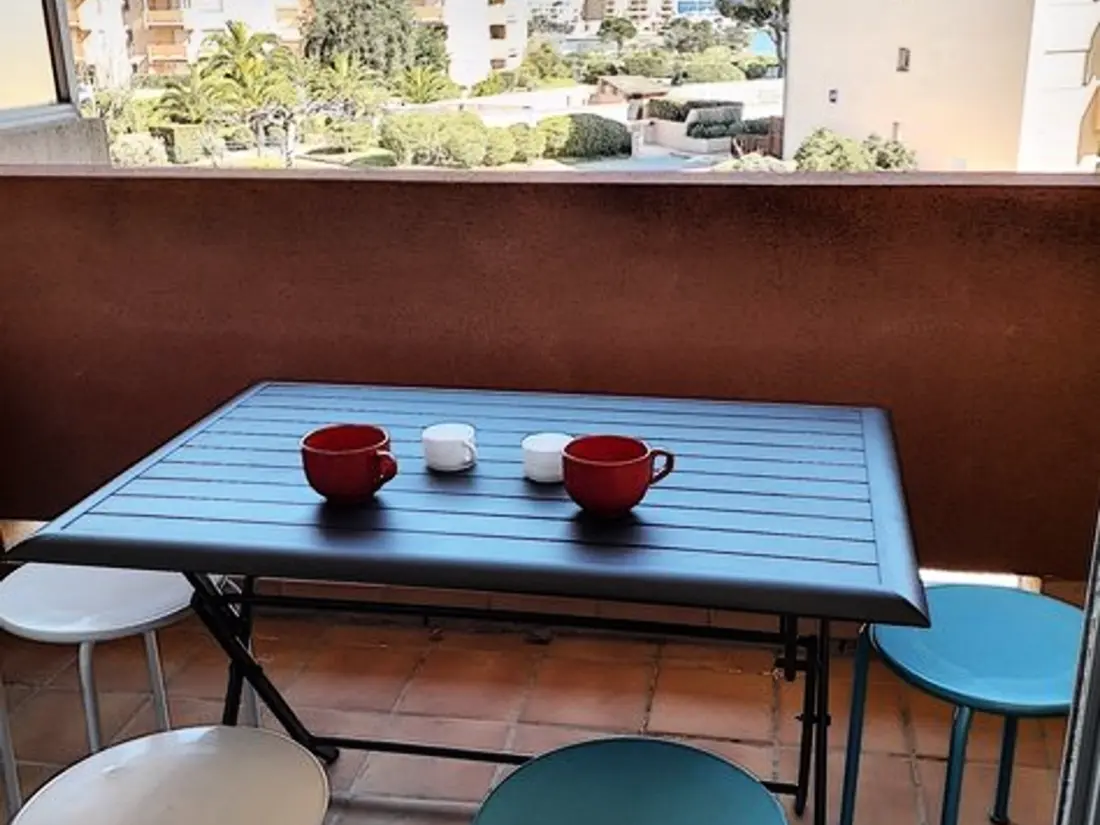 Location de Vacances Bormes-les-Mimosas 113