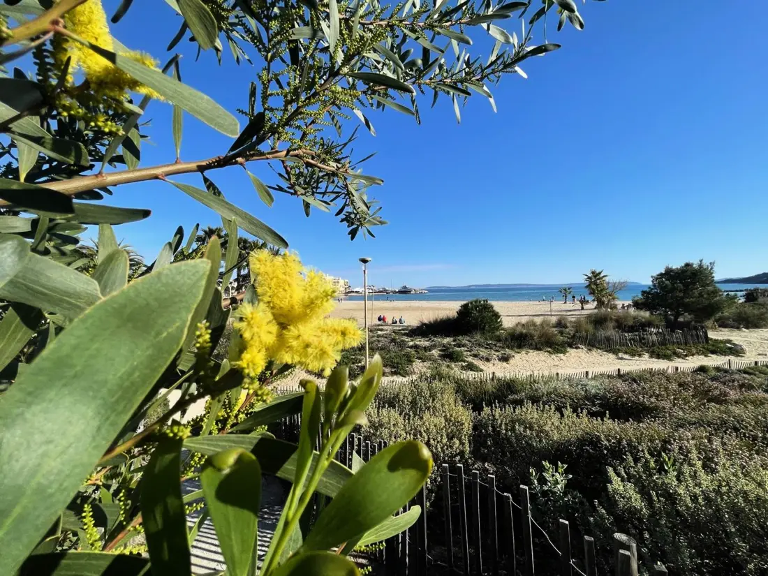 Location de Vacances Bormes-les-Mimosas 114