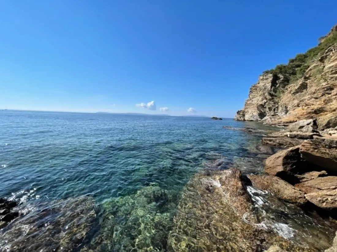 Location de Vacances Bormes-les-Mimosas 115