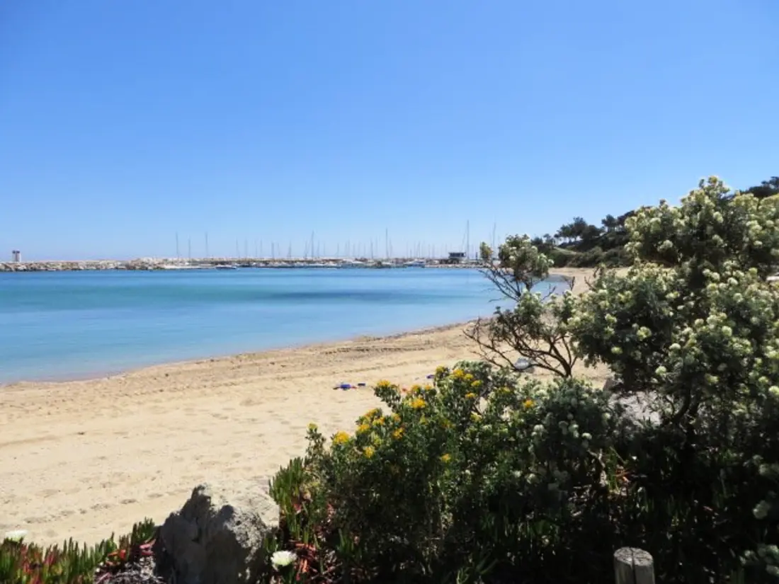 Location de Vacances Bormes-les-Mimosas 115
