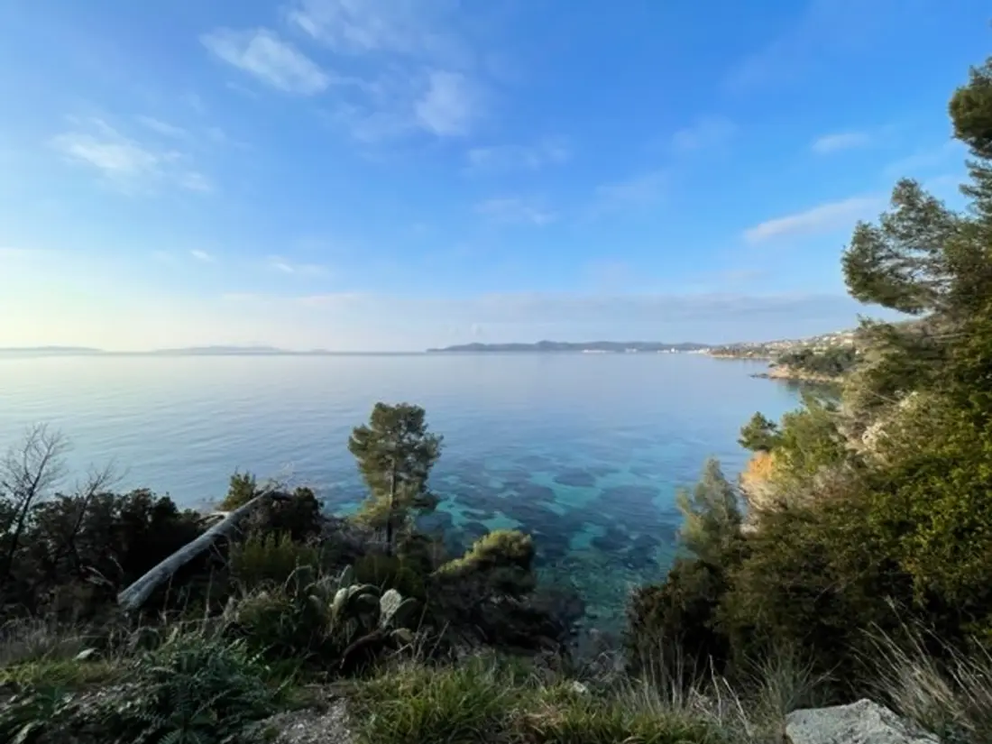 Location de Vacances Bormes-les-Mimosas 117