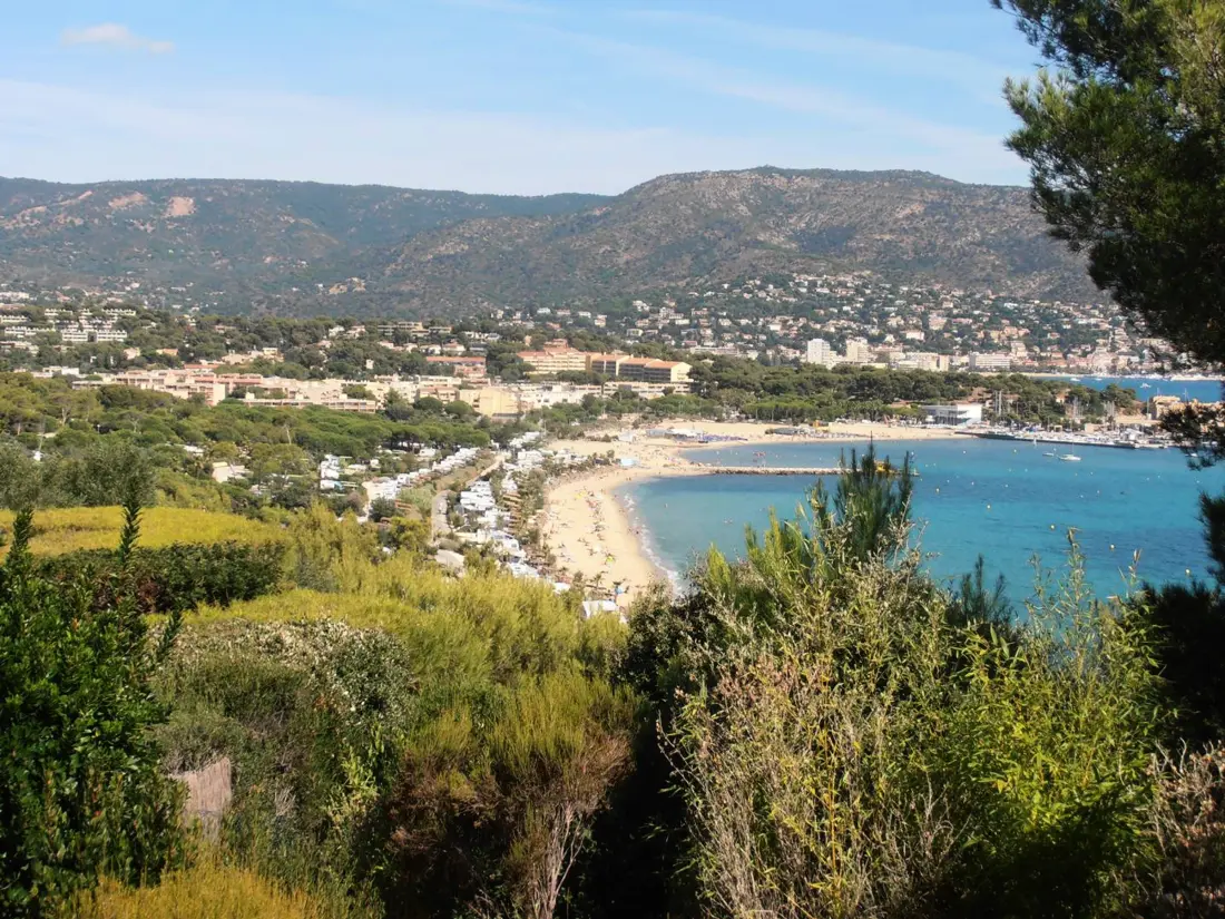 Location de Vacances Bormes-les-Mimosas 121